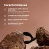 Hugo 2 - Vibromasseur prostatique contrôlé avec application