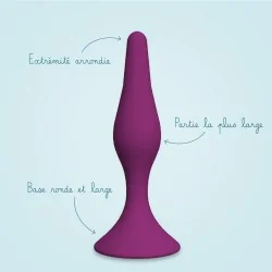 Pack dilatateurs anaux Intimate rose - Large