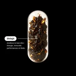 Complément alimentaire Shilajit Himalaya
