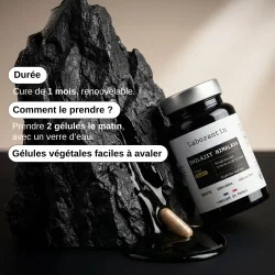 Complément alimentaire Shilajit Himalaya